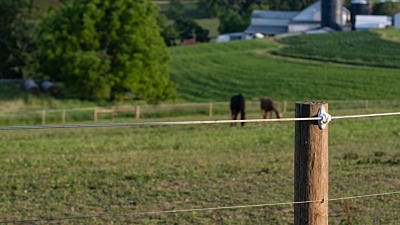 Understanding Electric Fencing Categories 