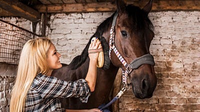 ElectroBraid® Partners with A Home for Every Horse 