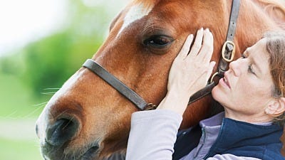 Equine Massage: Help for Your Horse