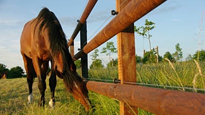 Fence Post 101: Start with a Good Fencing Foundation