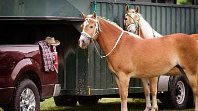 Get Your Horses and Fencing Ready For Spring