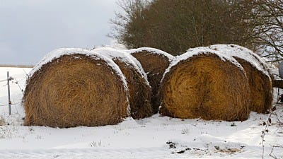 Hay! Is Your Hay Prepped to Survive Winter?