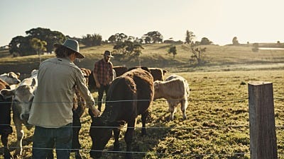 How Retrofitting Could Save You Hundreds on Fencing