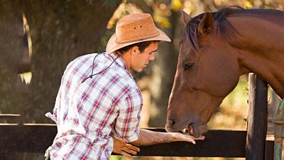 Why Do Horses Need Polytape Fences?