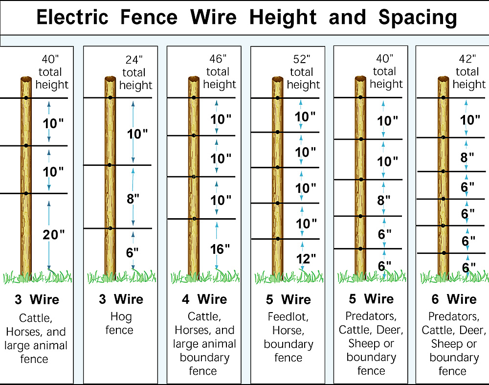 Electric fence wire height and spacing