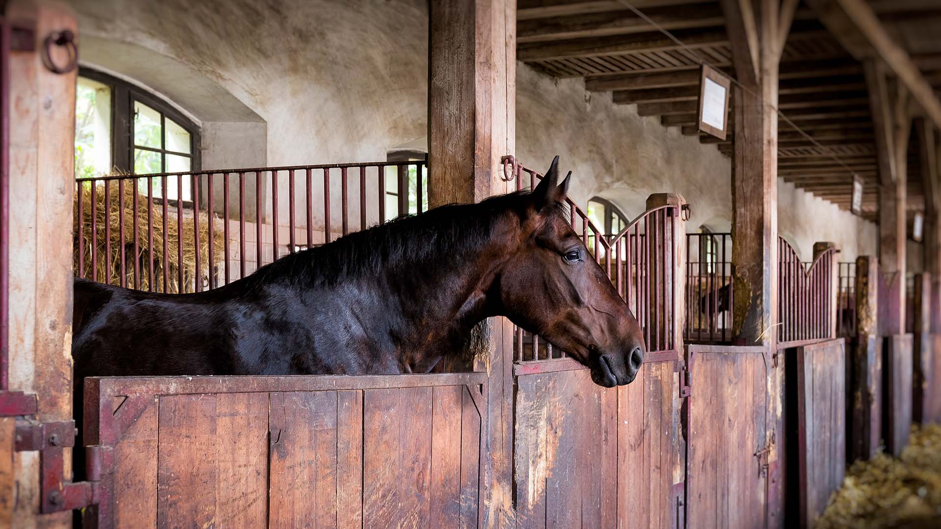 preventing eastern equine encephalitis