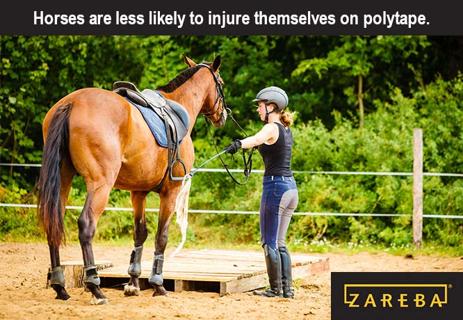 Is Polytape Good for Horses?
