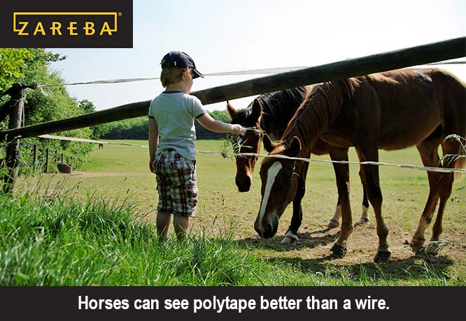 Is Polytape Good for Horses?