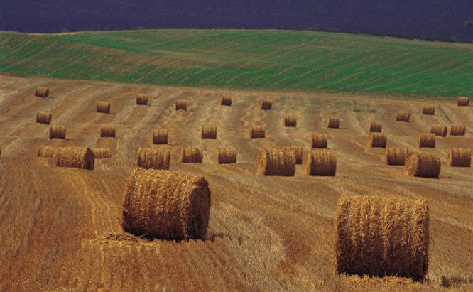 Prep Hay for Winter