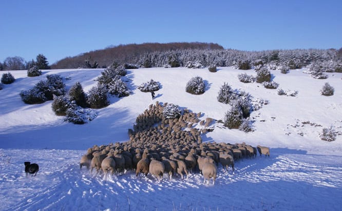 How to Ground An Electric Fence in Dry, Rocky or Sandy Soil