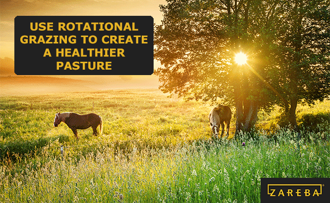 rotational grazing ideas