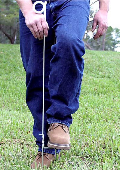 pig tail posts are great for strip grazing