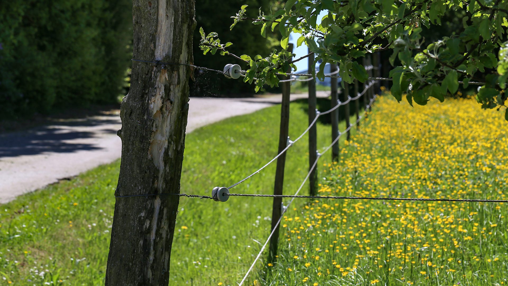 electric fence maintenance