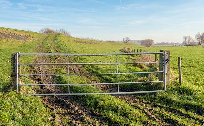 Electrified gate