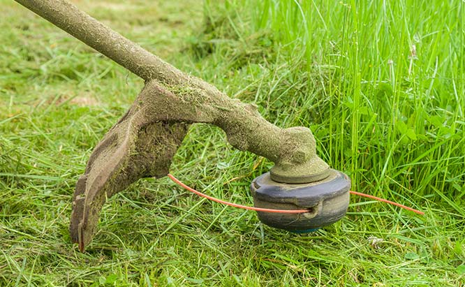 Weeds got your electric fence power down