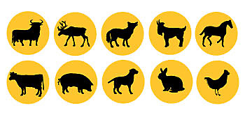 Animals controlled