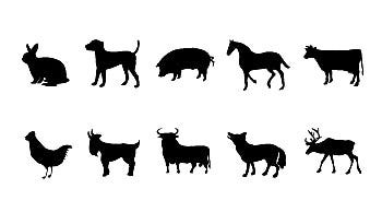 Animals controlled