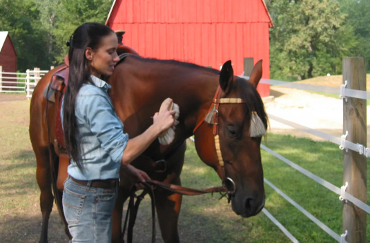 Article - What Are the Best Horse Fencing Options