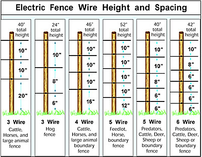 Electric Fence Wire Heights