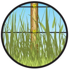 Heavy weeds around your fence