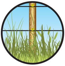 Light weeds around your fence